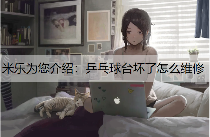 米乐为您介绍：乒乓球台坏了怎么维修