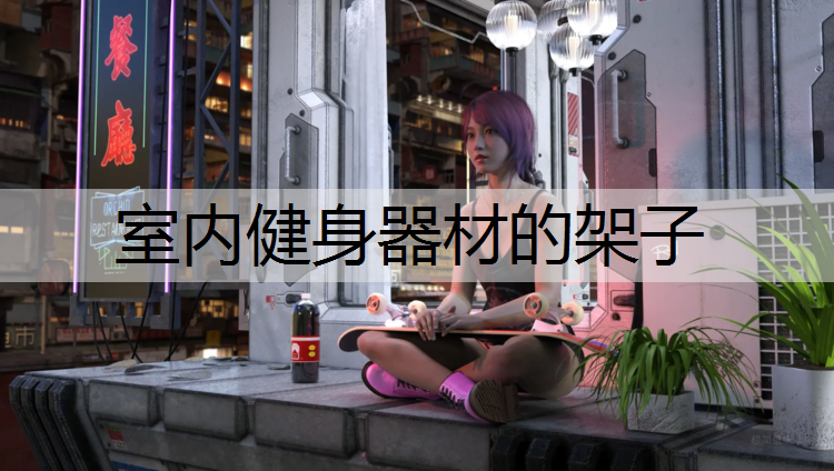 室内健身器材的架子