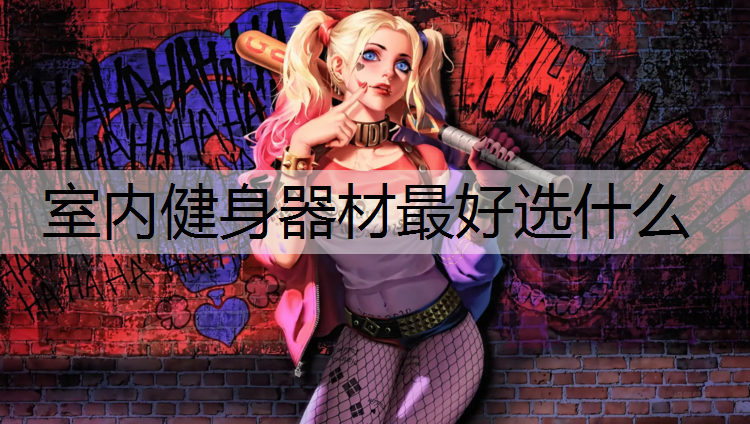 室内健身器材最好选什么