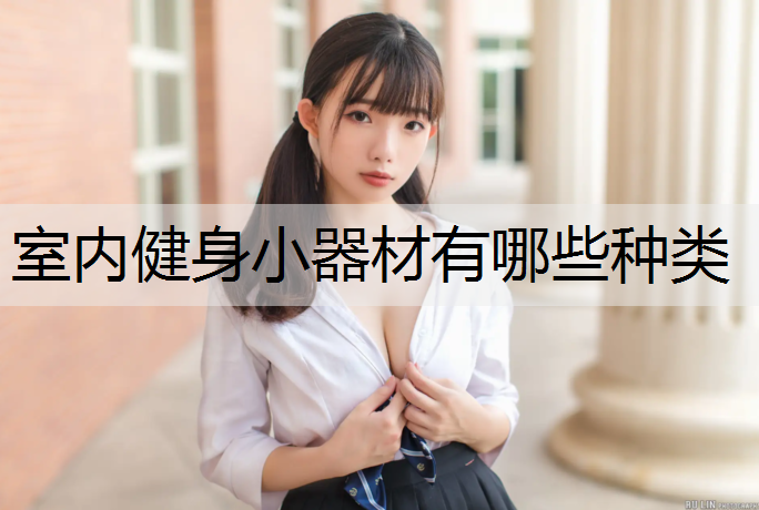 <strong>室内健身小器材有哪些种类</strong>