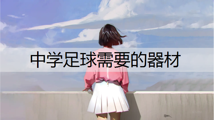 中学足球需要的器材