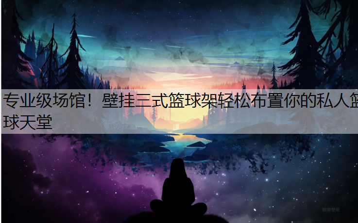 专业级场馆！壁挂三式篮球架轻松布置你的私人篮球天堂