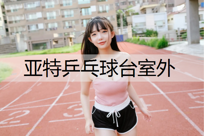 亚特乒乓球台室外