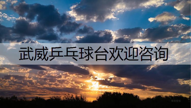 武威乒乓球台欢迎咨询