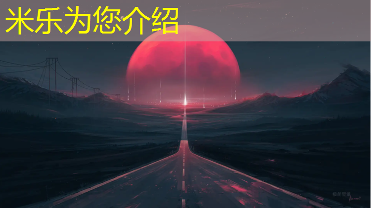 米乐为您介绍：新网球网子中文翻译
