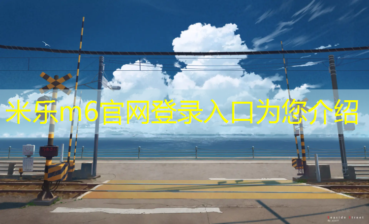 <strong>米乐为您介绍：常德网球网价格</strong>