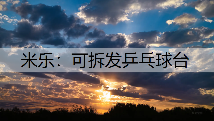 可拆发乒乓球台