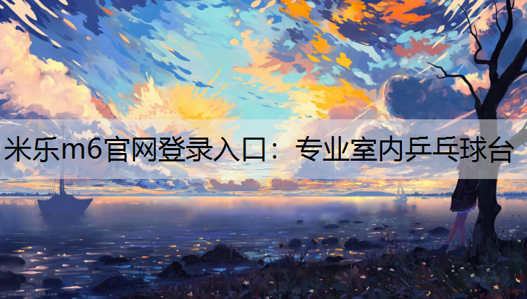 专业室内乒乓球台