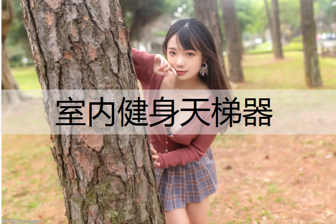 室内健身天梯器