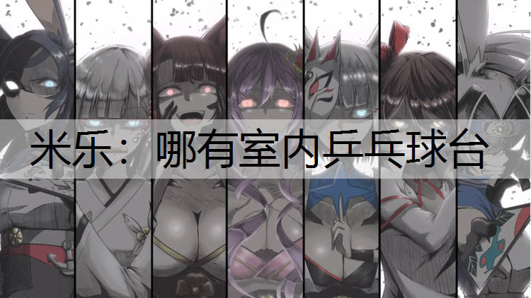 哪有室内乒乓球台