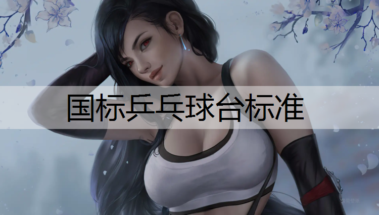 国标乒乓球台标准