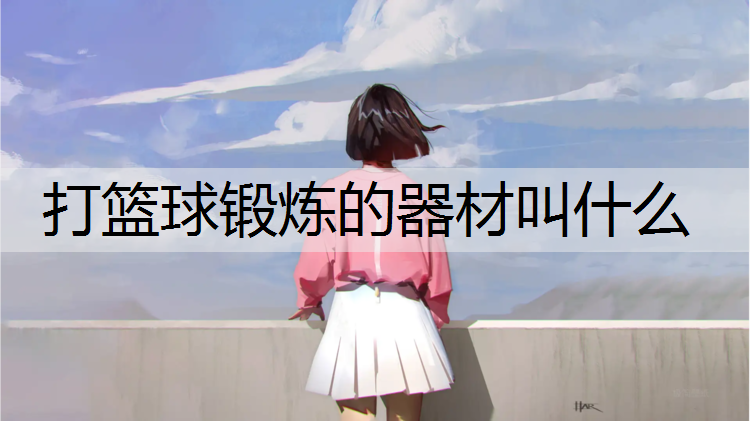 打篮球锻炼的器材叫什么