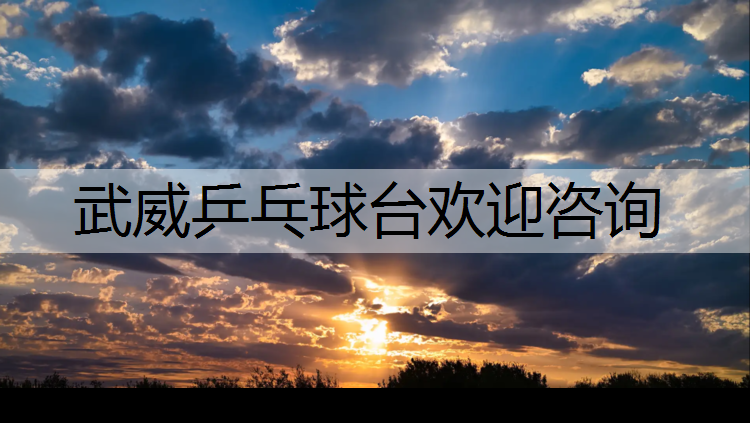 武威乒乓球台欢迎咨询