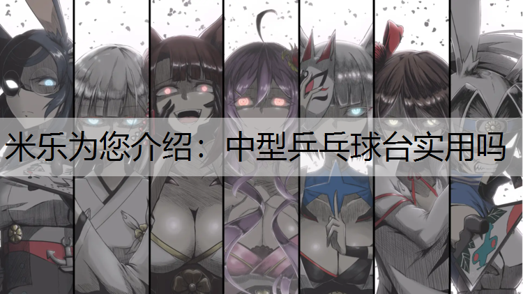 中型乒乓球台实用吗